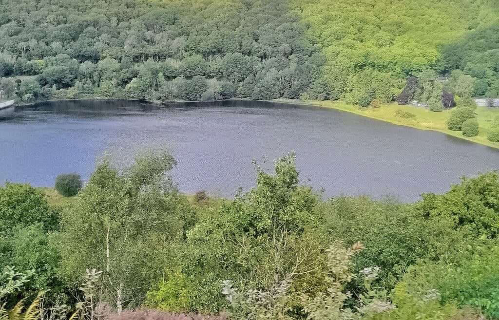 Cwm Rheidol Reservoir